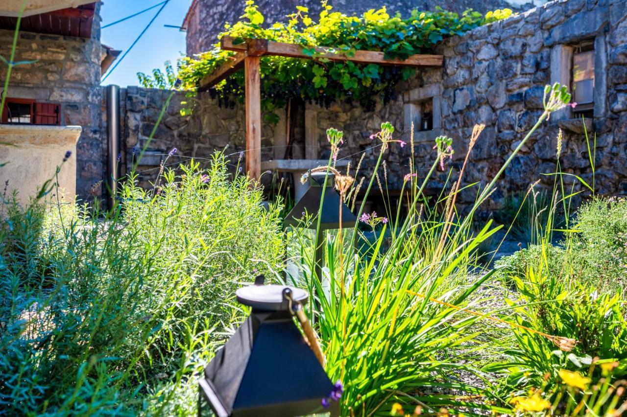 Karst House Zan Pliskovica With Private Pool Villa Dutovlje Kültér fotó