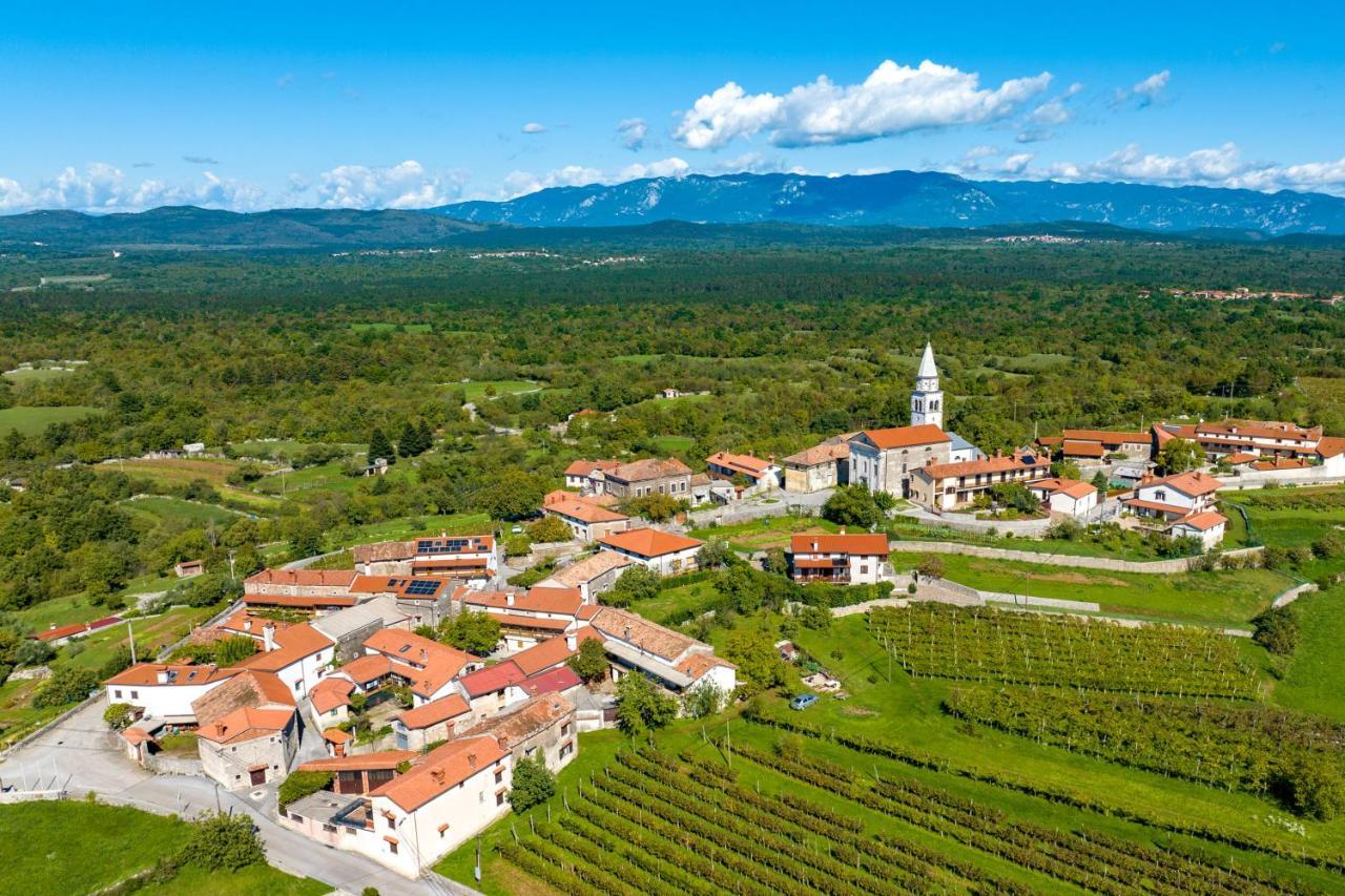 Karst House Zan Pliskovica With Private Pool Villa Dutovlje Kültér fotó