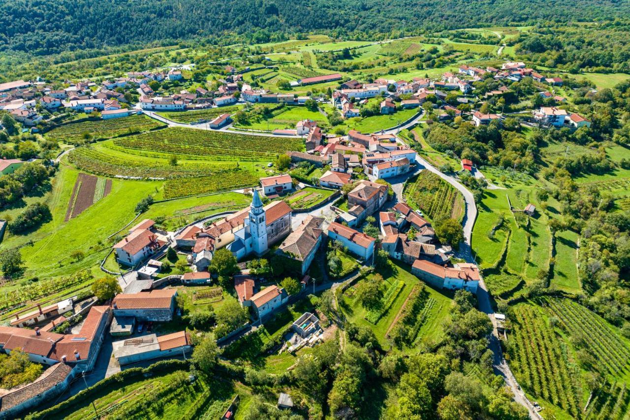 Karst House Zan Pliskovica With Private Pool Villa Dutovlje Kültér fotó